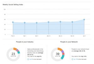 SSI LinkedIn dashboard Flex Online Marketing