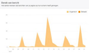 Facebook statistieken Flex Online Marketing