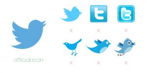 Het juiste Twitter logo Flex Online Marketing