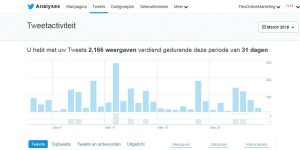 Screenshot Twitter Analytics Flex Online Marketing
