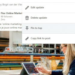 Bericht vastpinnen op LinkedIn bedrijfspagina Flex Online Marketing