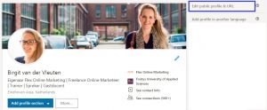 LinkedIn profiel menu aanpassen URL Flex Online Marketing